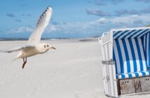 Meerblick Kampen: Das Glück ist so nah ( Foto: Shutterstock-Animaflora PicsStock)