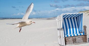 Meerblick Kampen: Das Glück ist so nah ( Foto: Shutterstock-Animaflora PicsStock)