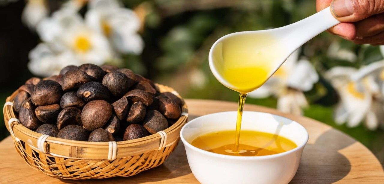 Kaffee mit Olivenöl: Eine gesunde und aufregende (Foto: AdobeStock 486463462 WR.LILI)
